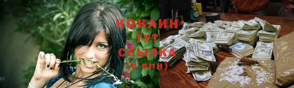 мескалин Бородино